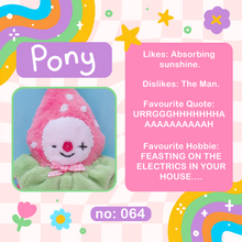 Load image into Gallery viewer, Pony