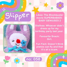 Load image into Gallery viewer, Slipper