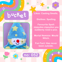 Load image into Gallery viewer, Bucket