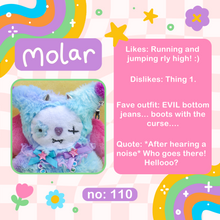 Load image into Gallery viewer, Molar
