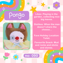 Load image into Gallery viewer, Pongo
